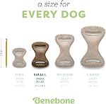 Benebone Dental Durable Dog Chew Toy for Aggressive Chewers, Real Bacon, Made in USA, Small