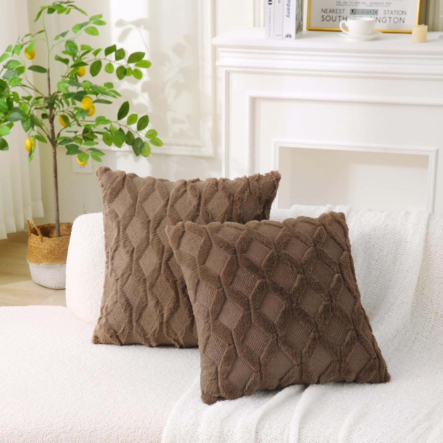 18" x 18" Decorative Throw Pillow with Inserts, Set of 2 Soft Faux Fur Throw Pillows, Square Boho Pillow for Couch, Bed, Sofa Decor, Coffee