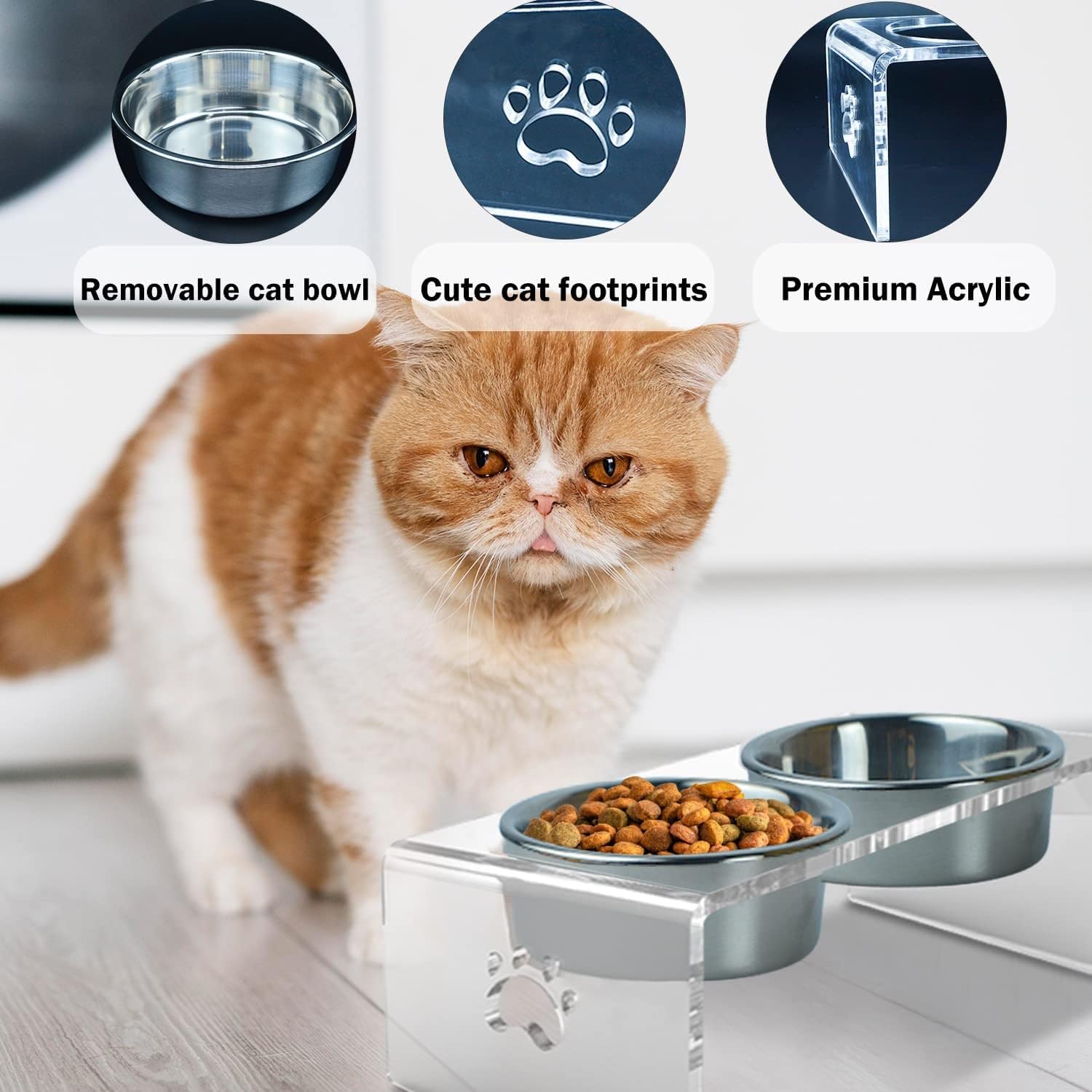 Ciotole in acciaio inox per gatti