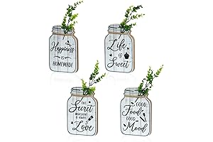 Bnesi Farmhouse Mason Jar Wall Decor
