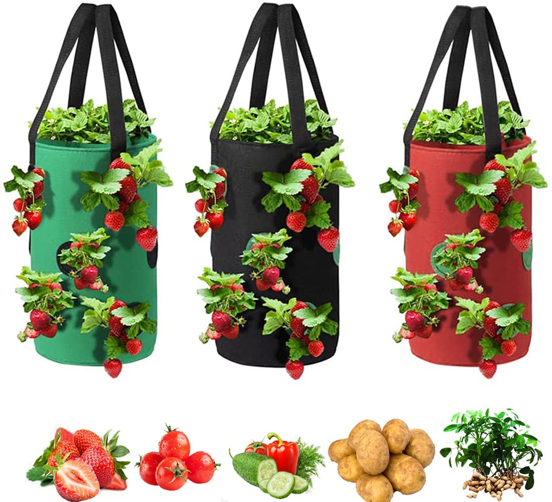 SYOSI 3Pcs Strawberry Grow Bags, 3 Gallon Strawberry Planting Bags with 12 Planting Holes Sturdy Hanging Handle, Vegetables Grow Bags for Tomato Chili Strawberry Onion Potato (Green, Black, Red)