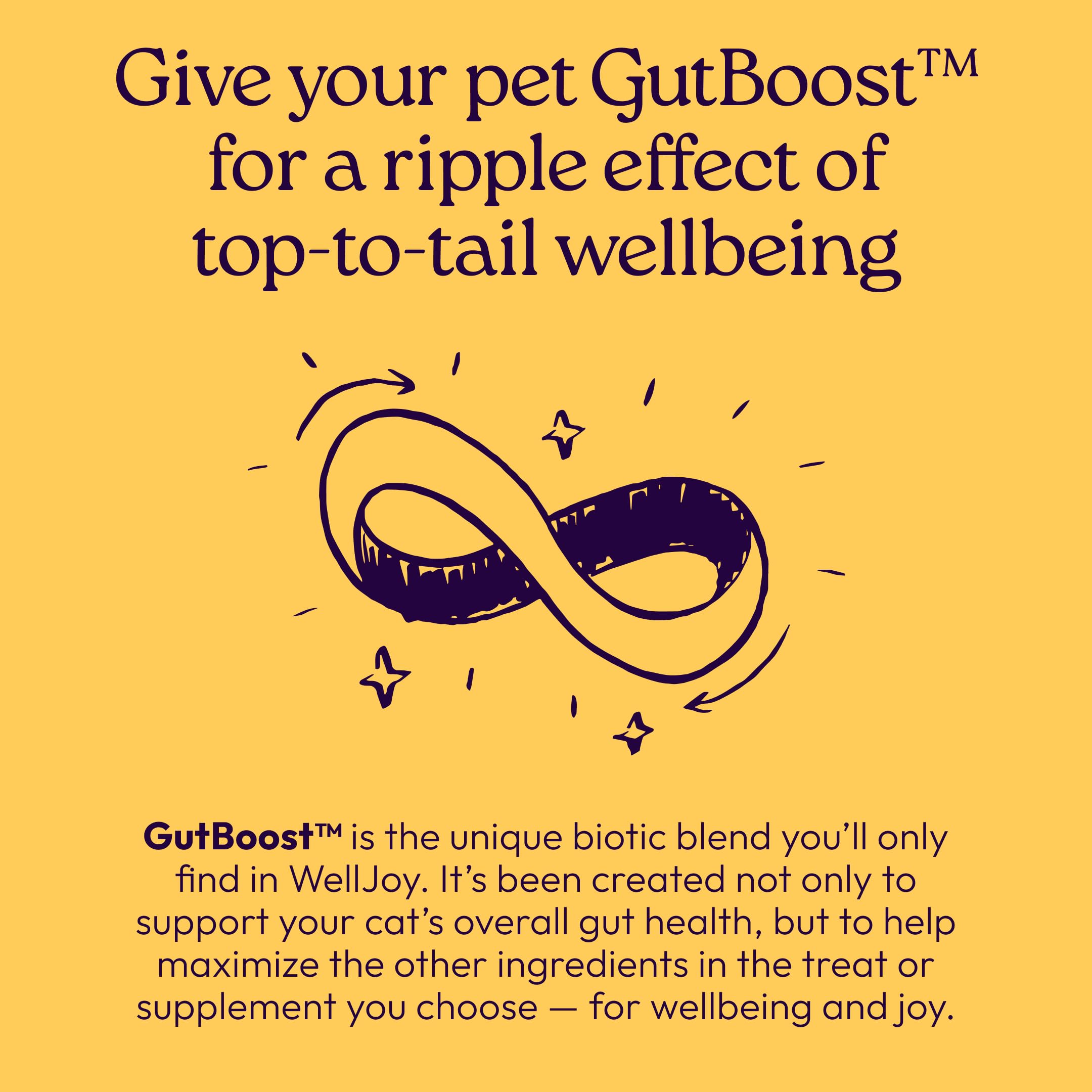 New! WellJoy Cat Treat Immune+ GutBoost | with Lysine | Supports a Healthy Respiratory System & Immune Defenses | Dual-Benefit Formula | Vet Formulated | Made in USA | Real Chicken | 120 Soft Chews - image 7