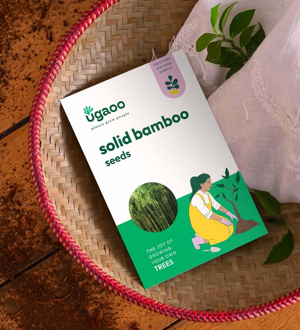 UGAOO Solid Bamboo Seeds (Dendrocalamus Strictus) - 100 g (B0CH3G3D96) Amazon Price History, Amazon Price Tracker