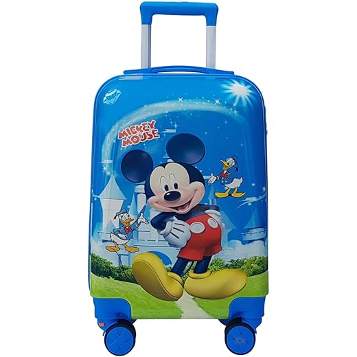 Junior Joe 20 Inch Rolling Suitcase