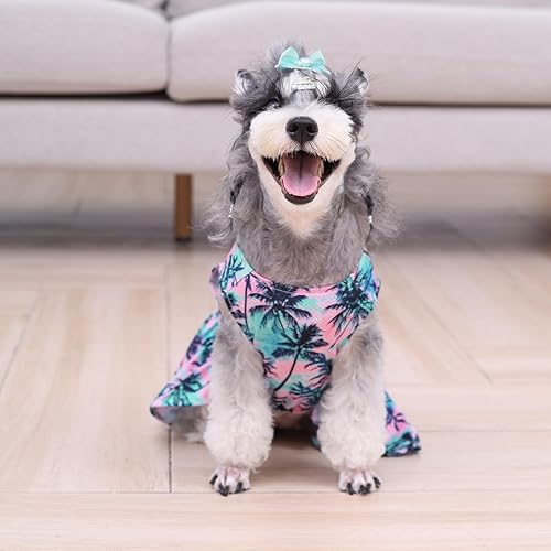 Miniatura 52 de CuteBone Vestido de malla para perro, vestido de Halloween para cachorros, traje de verano para mascotas, moda de verano para perros pequeños, ropa