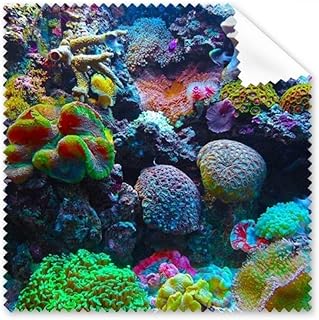 Ocean Colorful Science Nature Picture Cleaning Cloth Phone Screen Glasses Cleaner 5pcs