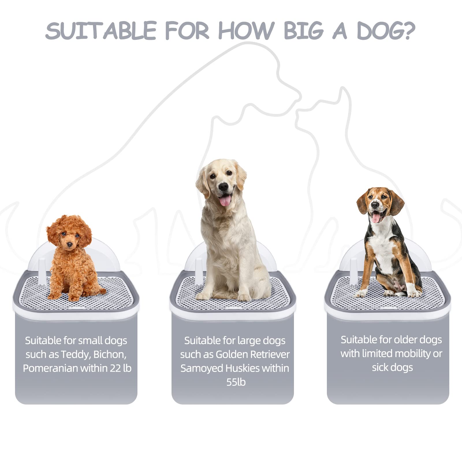 Do Dogs Have Smaller Litters As They Get Older