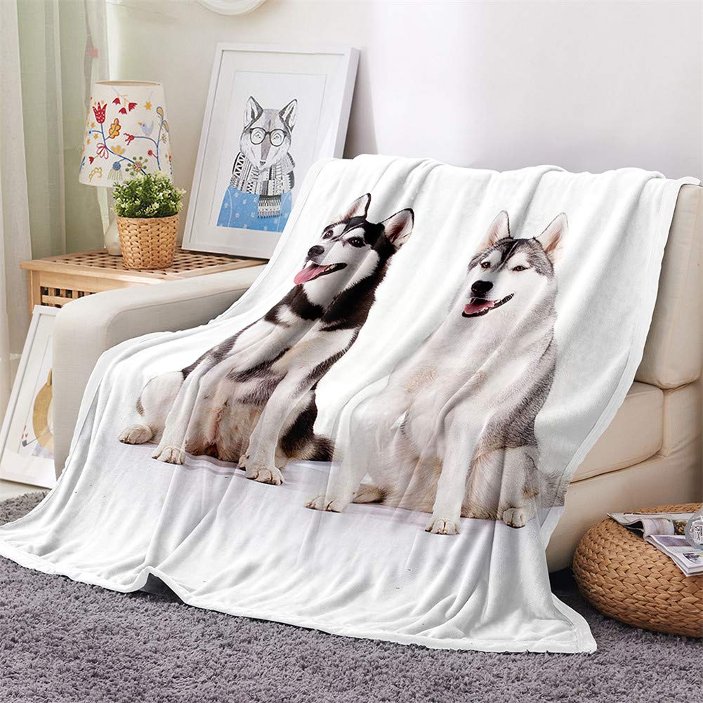 Coperta Flanella Microfibra 3D, Morbida E Leggera, Con Stampa Cane Salsiccia Nero, 100x150 Cm