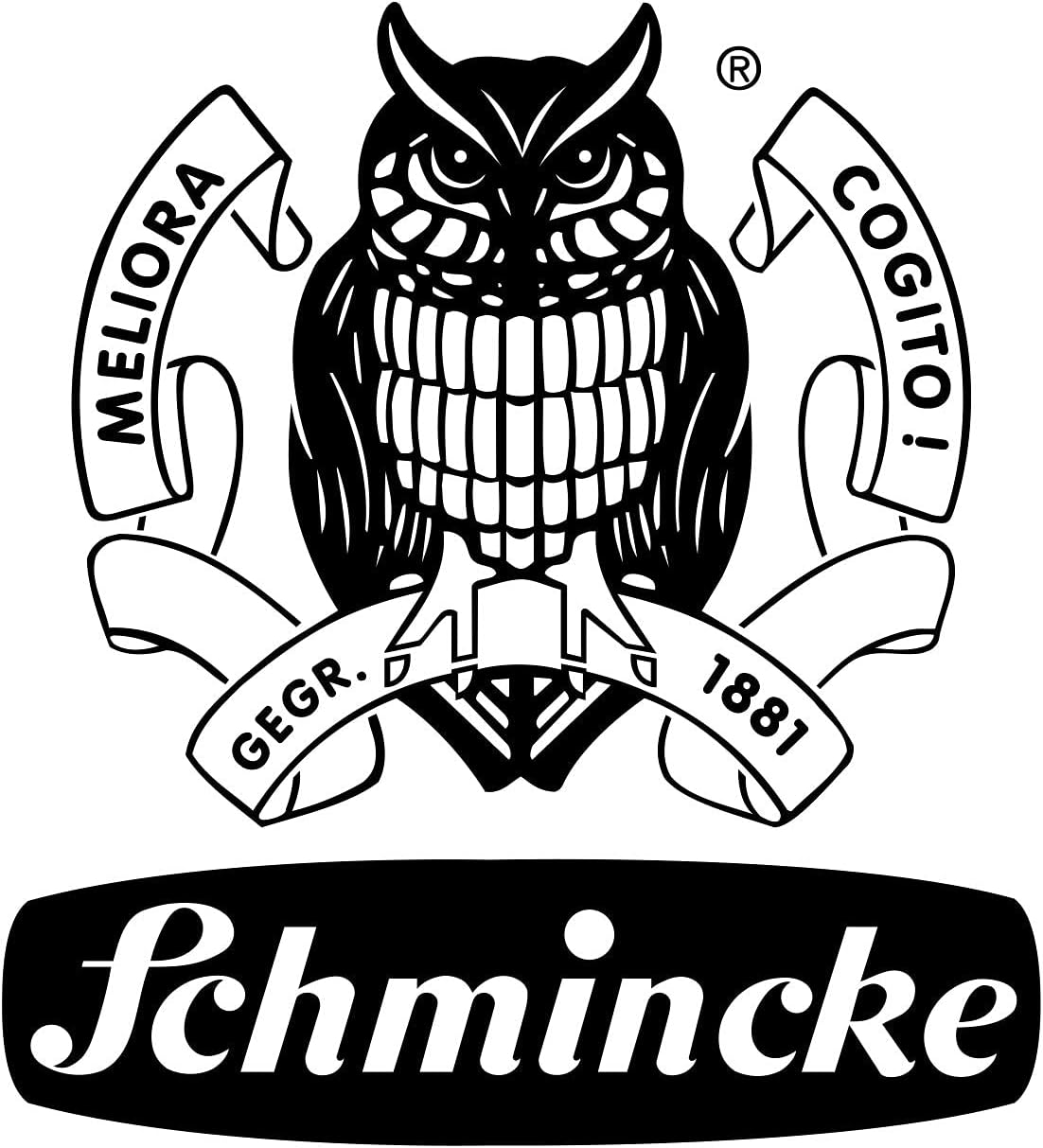 Schmincke - MUSSINI® Finest Resin Oil Colors Premium Wooden Box Oil Painting, 15 x 35 ml Set, 70 615 097,White 150 ml, Terpin, Palette Plug, 3 Brushes, Palette Knife, etc.