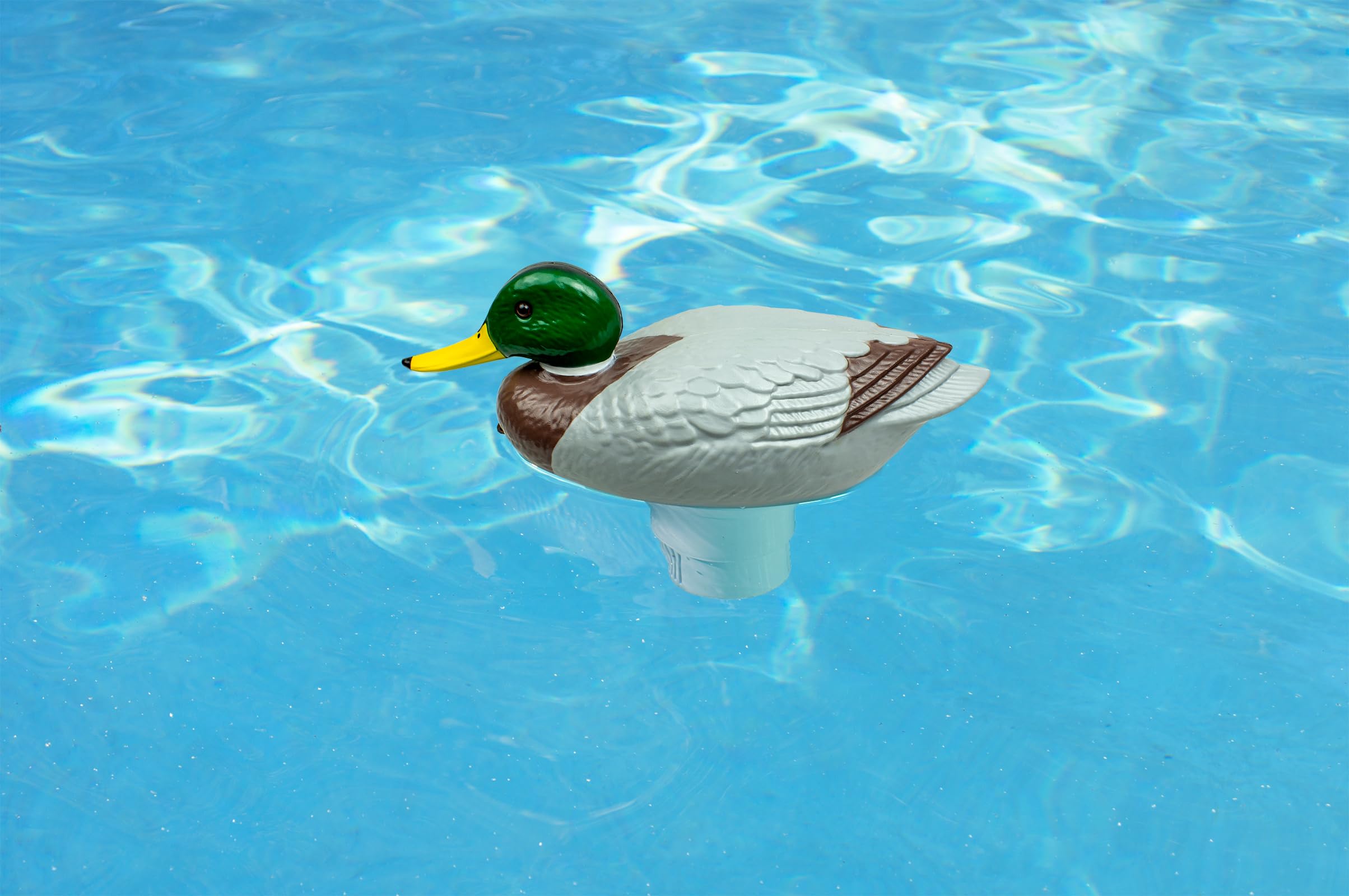 Poolmaster 32130 ChloriDuck Mallard - Dispenser di cloro