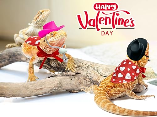 Miniatura 5 de Vehomy 4 unidades de traje de dragón barbudo para el día de San Valentín, sombrero de vaquero de dragón barbudo y bandana de lagarto, bufanda de