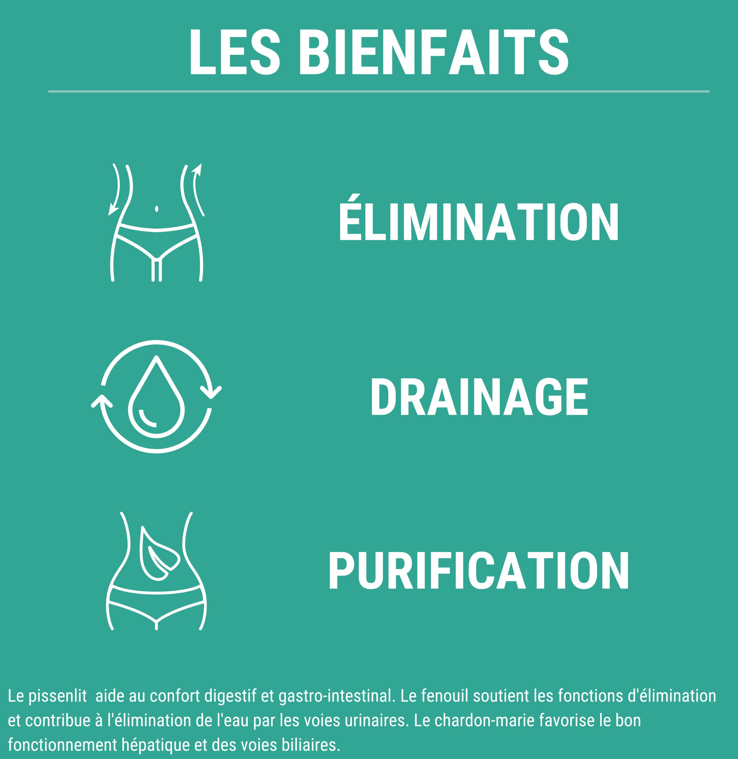 FORMULE DETOX | Complexe de Plantes : Artichaut Radis noir Queue de cerises Pissenlit Chardon marie | Detoxifiant Foie et Intestin | Detox Colon et Draineur Foie | 60 Gélules