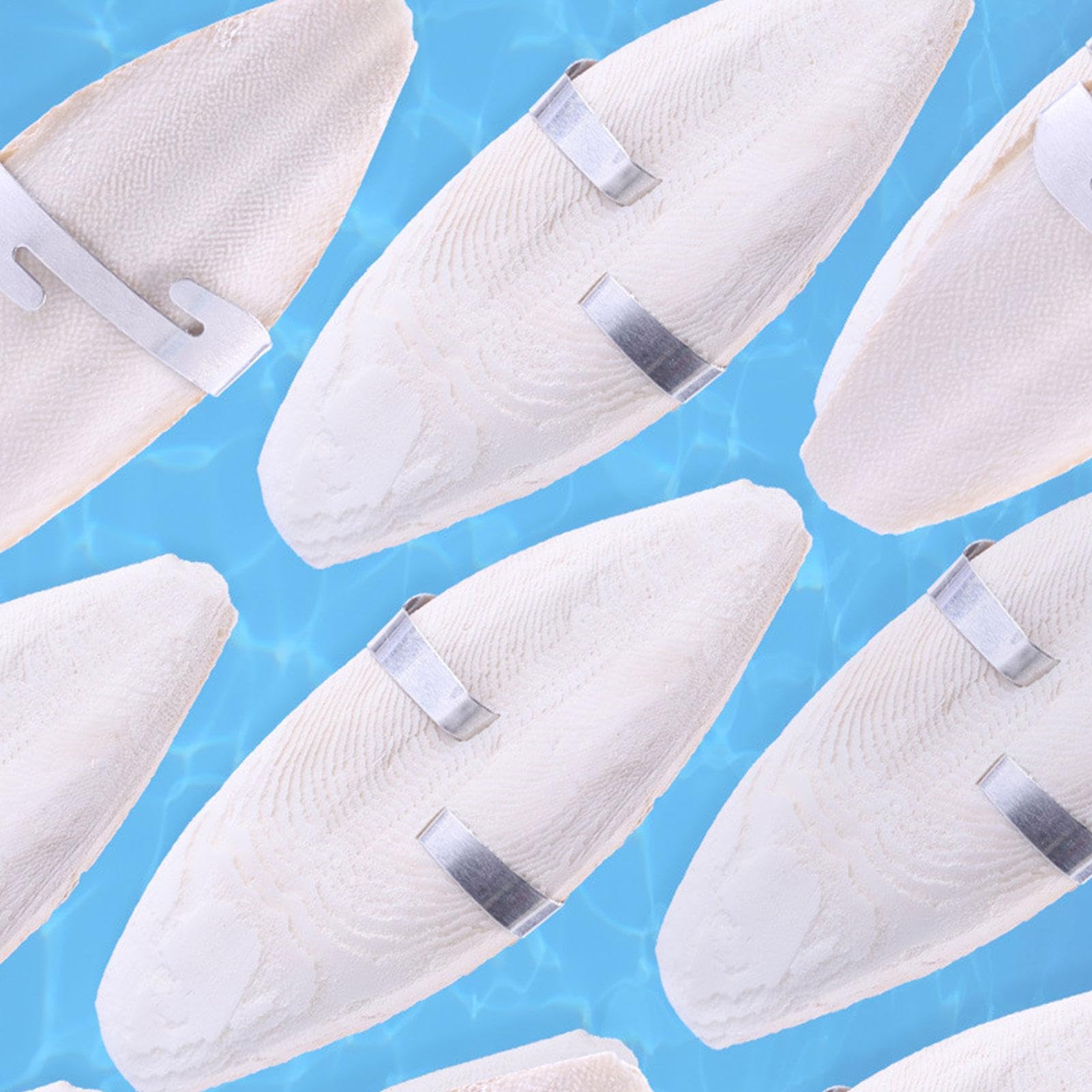 Tintenfisch Knochen – Natürliche Kauknochen Für Papagei, Wellensittich & Kleine Haustiere