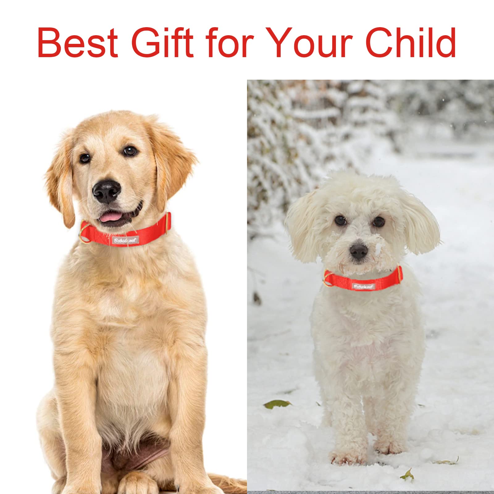 Babole - Collares de perro con hebilla de metal de seguridad, ajustables y cómodos collares de nailon para perros pequeños y medianos grandes (rojo, XS)