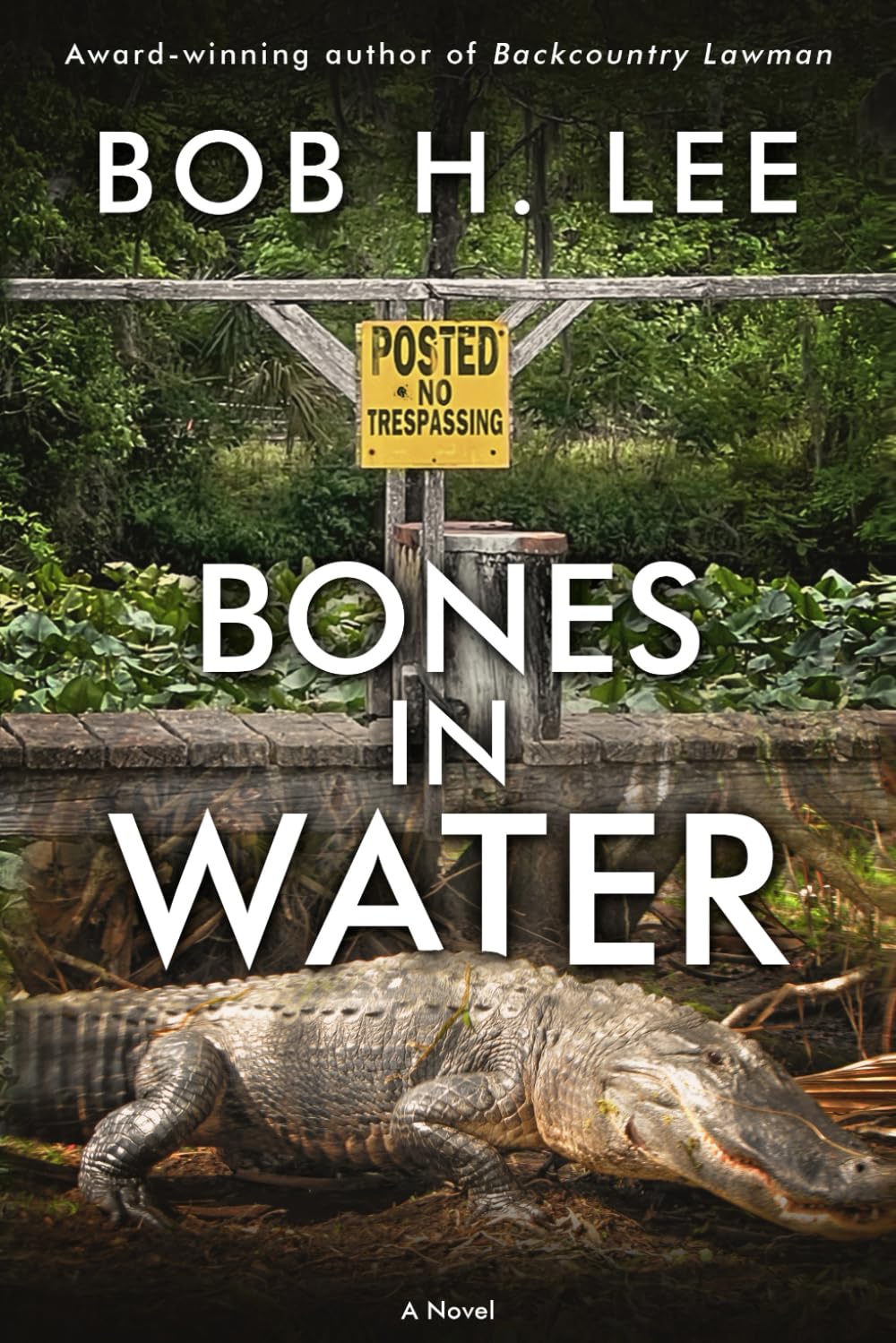 Bones in Water
