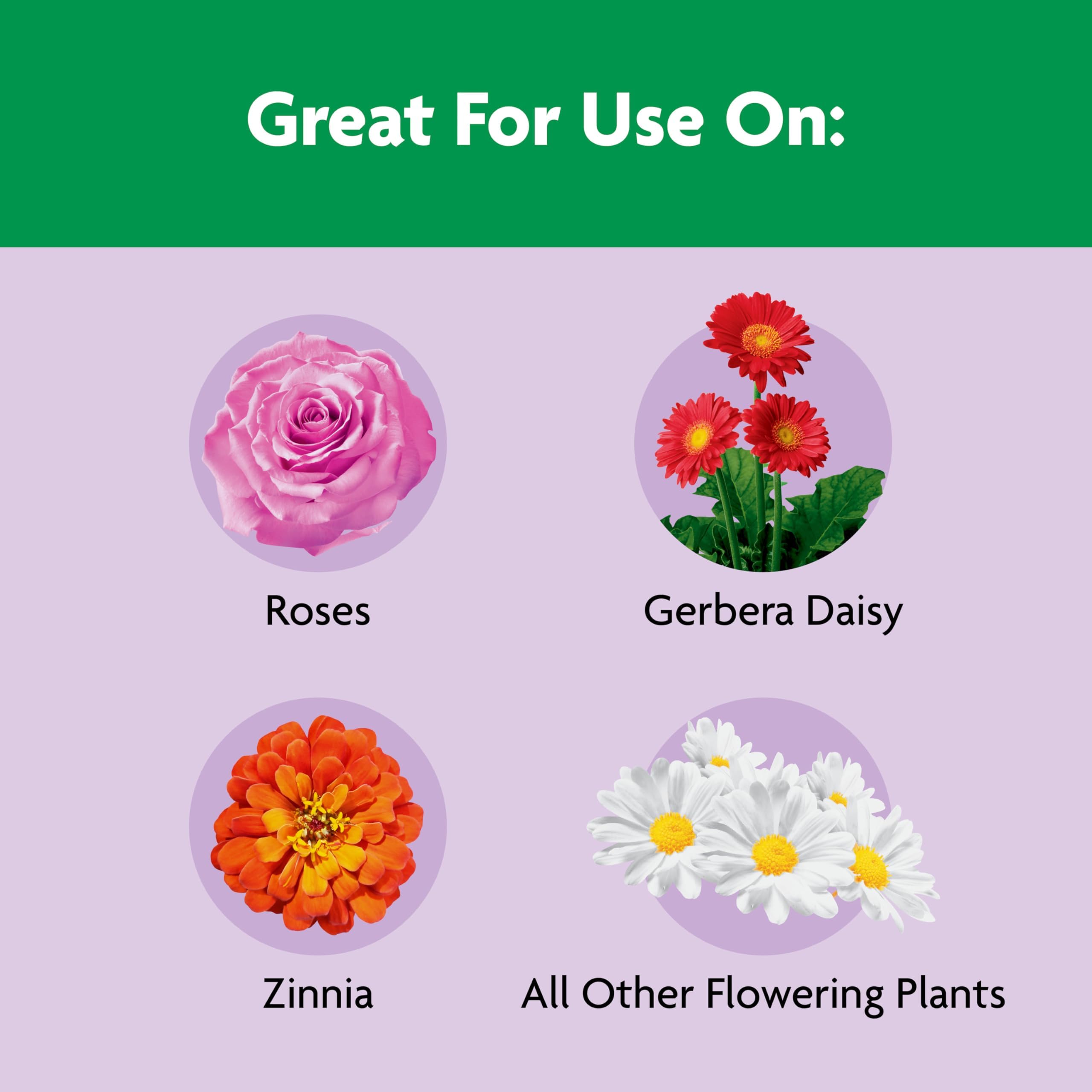 Miracle-Gro Shake 'N Feed Rose & Bloom Plant Food, 8 lb.
