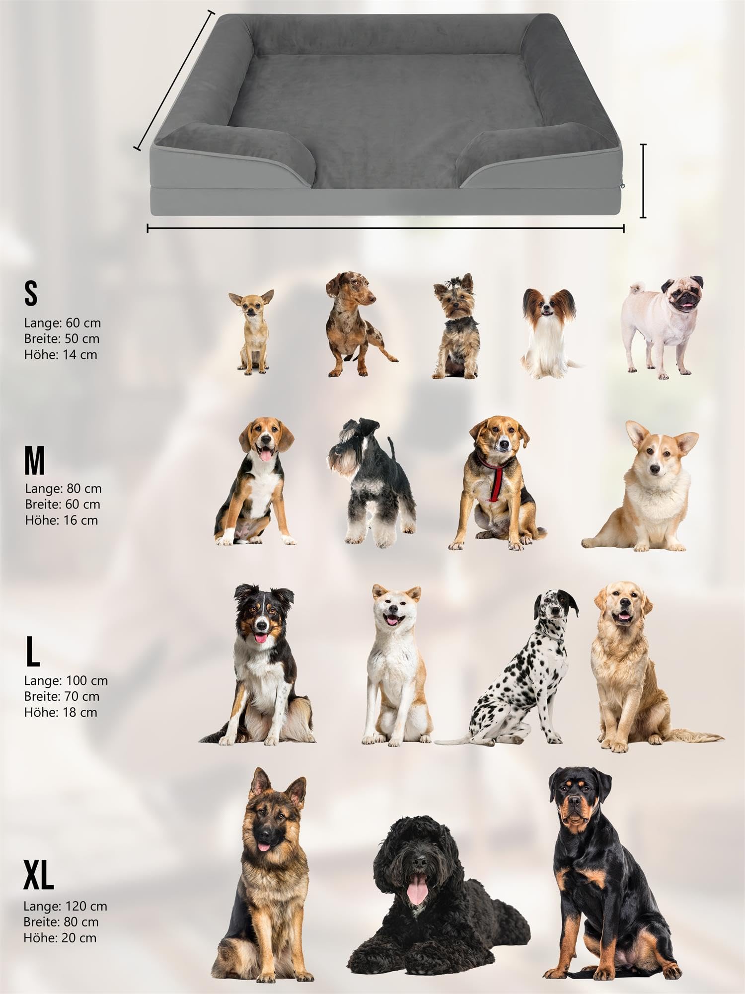 normani Ergonomisches Hundebett für große, mittlere und kleine Hunde - Orthopädisches Hundekissen - Hundecouch mit hohem Rand Anthrazit 60 cm x 80 cm x 16 cm