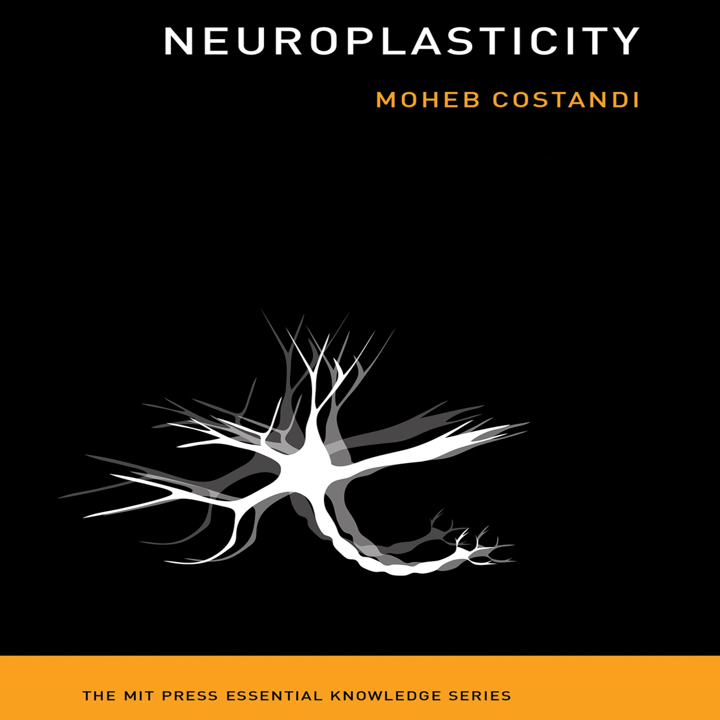 Cover art for Neuroplasticity