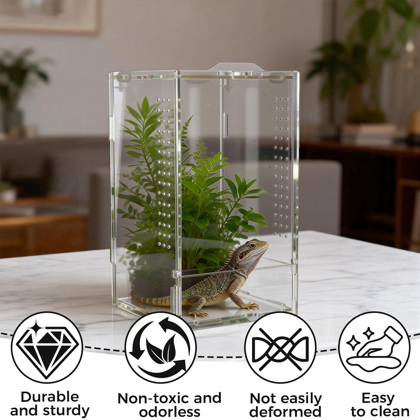 12 × 12 × 20 cm gady, terrarium akrylowe, przezroczyste 360°, mini terrarium, faunarium, terraria dla gadów i płazów, do hodowli, przechowywania i obserwacji