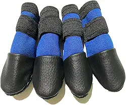 Sapatinho pet G - Azul