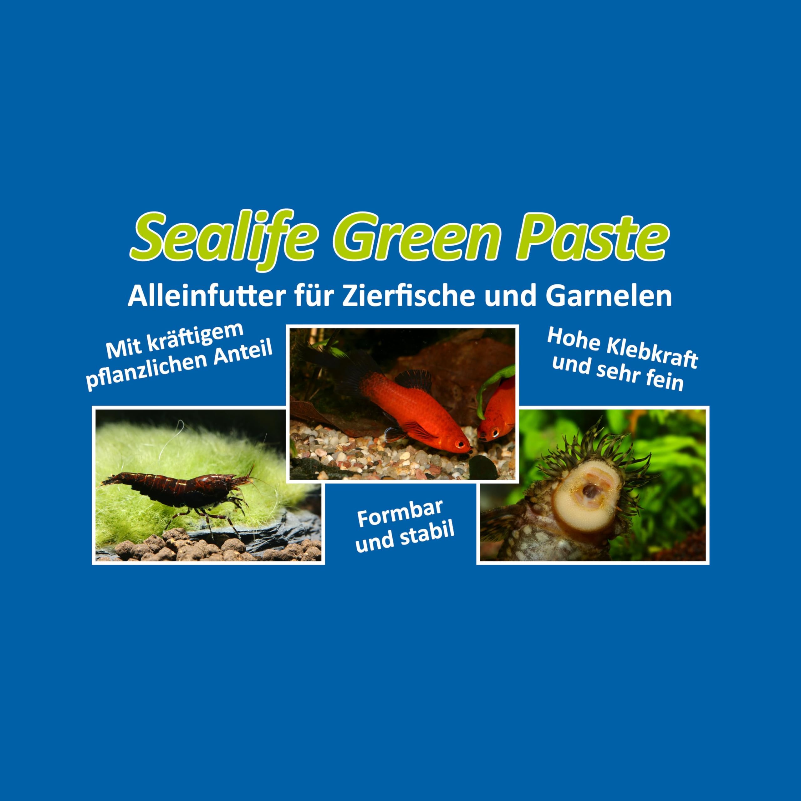 3er-Set Sealife Futter Pasten - Fischfutter und Garnelenfutter Farbfutter Aufzuchtfutter Hauptfutter