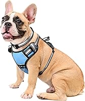 Vista 11 de WINSEE Arnés para perro sin jalones con collar chaleco reflejante ajustable Oxford, broches para correa delantero y trasero para perros pequeños