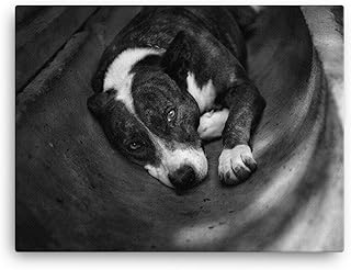 Pitbull Art Wall Decor, Pitbull Print Dog Gifts, Dog Art Photo Gifts For Dog Lovers, Poster Canvas Prints Various Sizes, Gift For Pitbull Lover Gift, Pittie Mom Gift Decor For Home