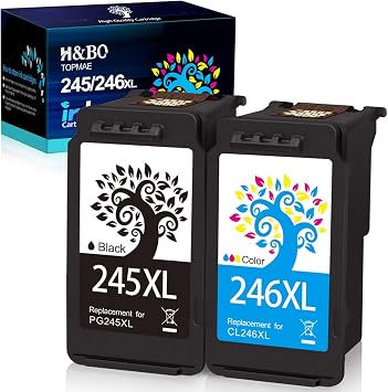 Amazon.com: H\u0026BO TOPMAE Cartuchos de tinta remanufacturados de repuesto para  Canon PG-245XL CL-246XL PG-243 CL-244 para impresora PIXMA TS3320 TR4527  TR4500 MG2522 TR4520 MG2525 TS3322 MX490 (1 negro+1 Color) Color) :  Productos