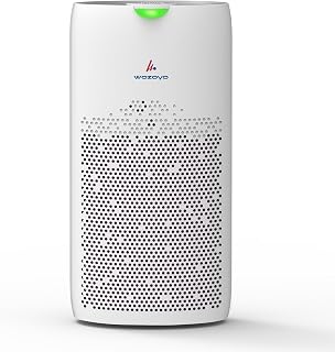 Wozoyo Pure Air PA5 Air Purifier for Home & Office, 4-in-1 filter, Pre Filter,Anti-Bacterial,H13 HEPA,Activated Carbon,Cov... Price In India