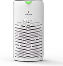 Wozoyo Pure Air PA5 Air Purifier for Home &amp; Office, 4-in-1 filter, Pre Filter,Anti-Bacterial,H13 HEPA,Activated Carbon,Cov...