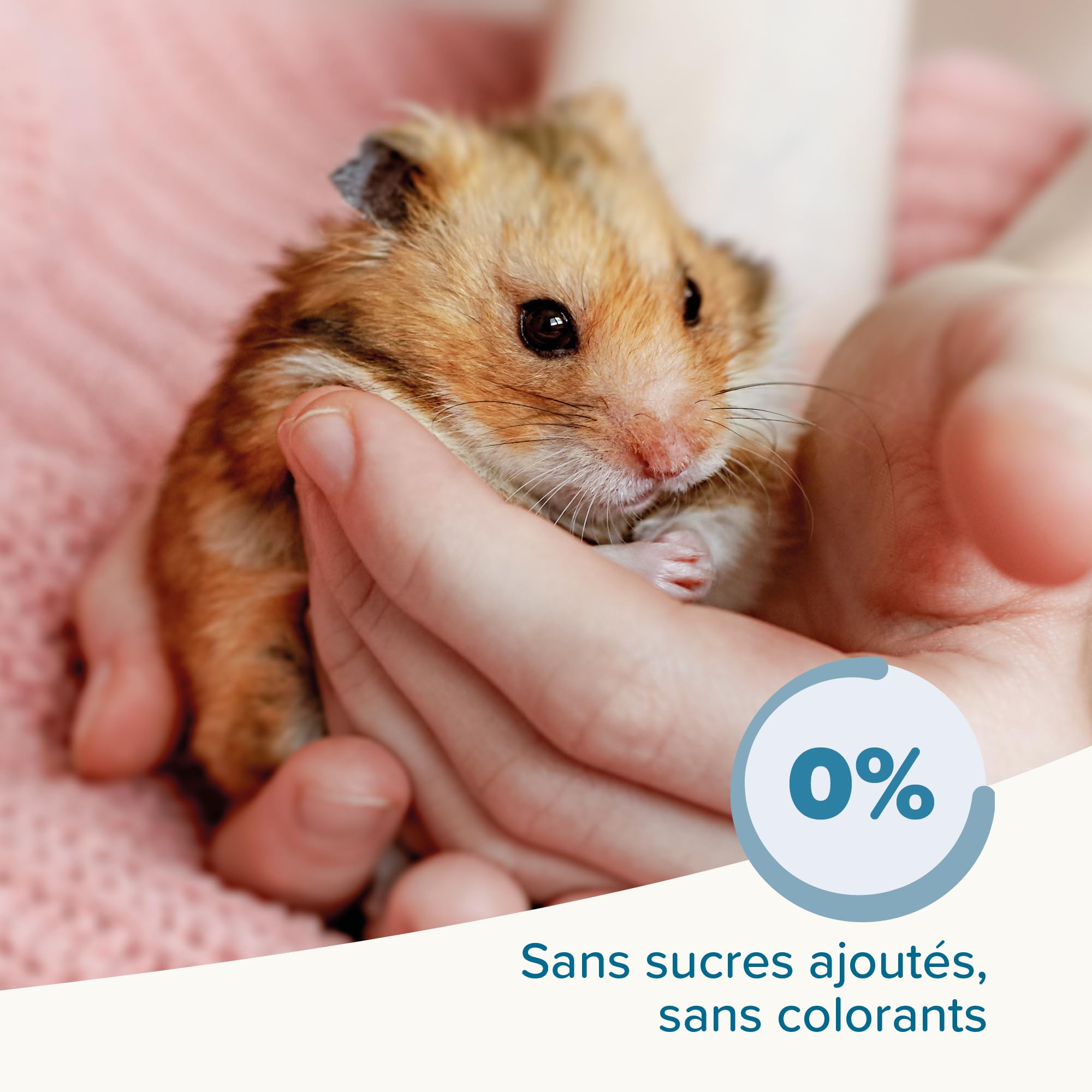 BEAPHAR – Care+ – Alimentation Super Premium extrudée pour Hamster – avec protéines animales – Haute digestibilité & Valeur énergétique – Usure Naturelle des Dents – sans sucres ajoutés – 700g