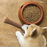 Nobleza - 6 Pezzi Osso Pressato per Cani Pelle Bovina Rinforzante per Denti Bastone Dentale Snack per Cani 25 cm - 6