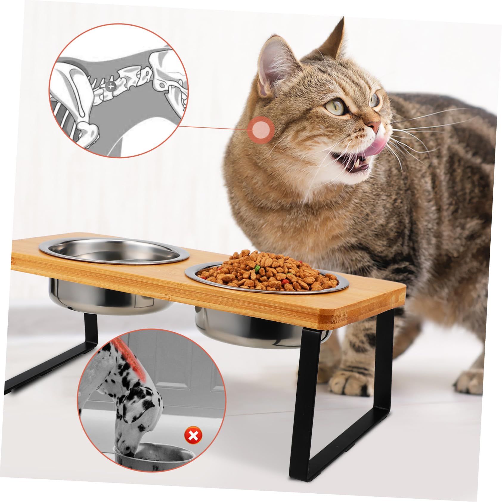 DOITOOL Comedero Gato Elevado con Soporte Antideslizante Cuencos Dobles de Acero Inoxidable para Comida y Agua Estación de Alimentación Ergonómica para Gatos Diseño Moderno y Funcional