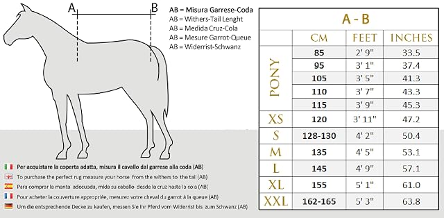 Foto 8 de 8 de Horses, Manta de Paddock para Caballo Turnout Full Neck 400 g, Impermeable, con Cuello, Resistente