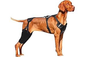 Dual Dog Leg Knee Brace - Huimpt Dog ACL Brace for Back Hind Rear Leg
