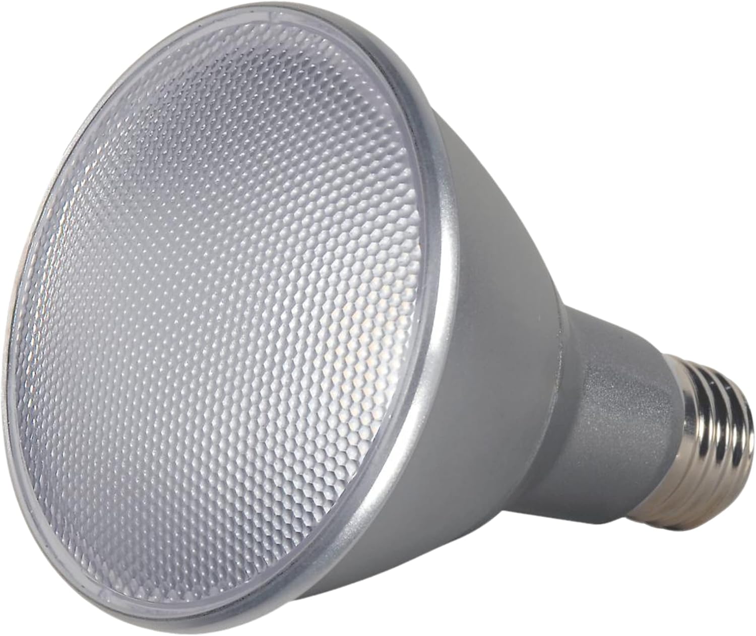 Super Big Clearance! 13PAR30 LED BULB 40' LN NL