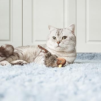 Gigwi Chirping Bird Cat Toy Interactive Cat Squeak Toy Melody Chaser Bird Toys For Cats To Play Alone Play N Squeak Kitten Toy For Boredom Amazon Co Uk Pet Supplies