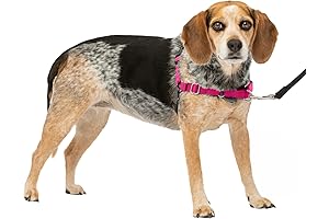 Innovative Rover Gear Better Walk No-Pull Dog Harness: A Game-Changer for Strolling