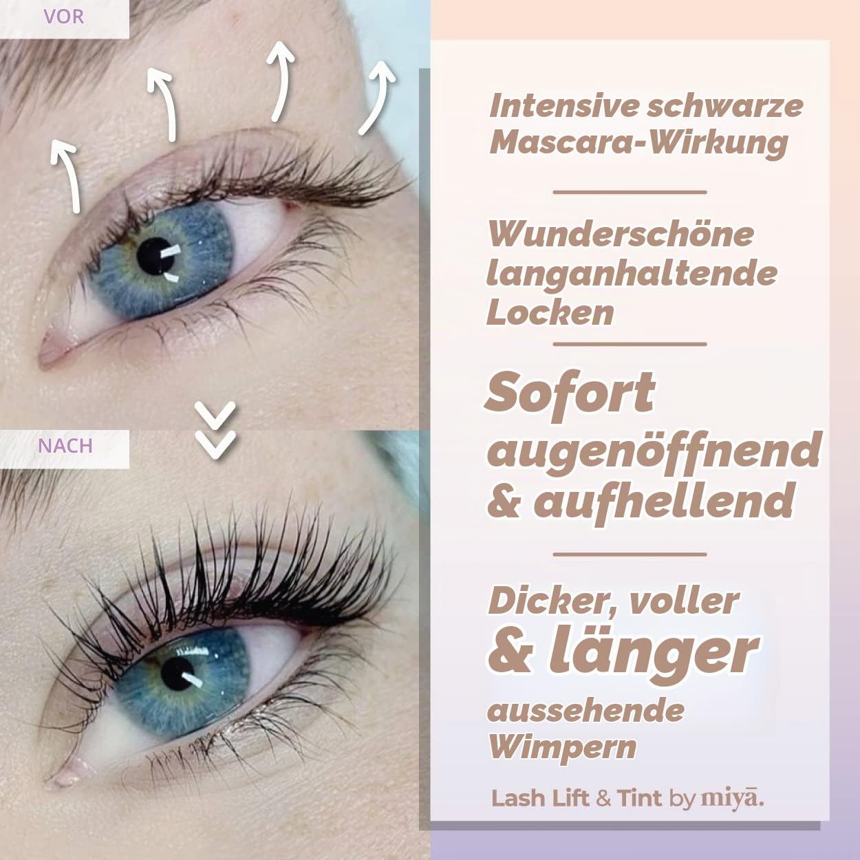 MIYA LASH Wimpern-Lift- und Tönungs-Set, Augenbrauenlaminierung und Tönungs-Set, Salonergebnis hält 6 Wochen, alle Werkzeuge enthalten