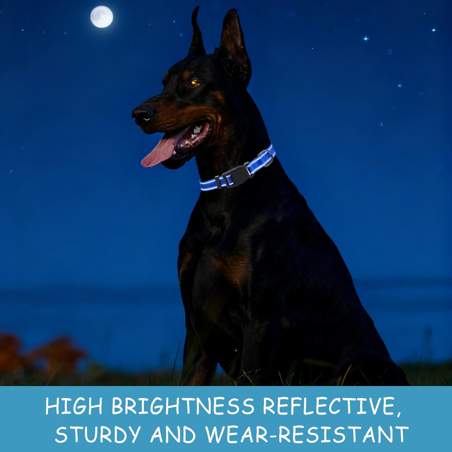 30 Pcs Reflective Dog Collar Bulk Adjustable Nylon Puppy Collar for Small Medium Girl and Boy Dogs Large Dogs Multiple Pet with Quick Release Buckle for PET Travel Walk Daily (Medium, 10 Colors)
