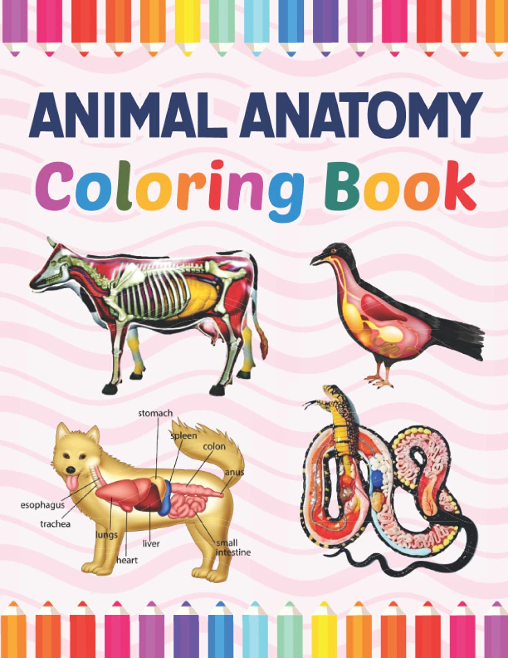 Buy Animal Anatomy Coloring Book The New Surprising Magnificent