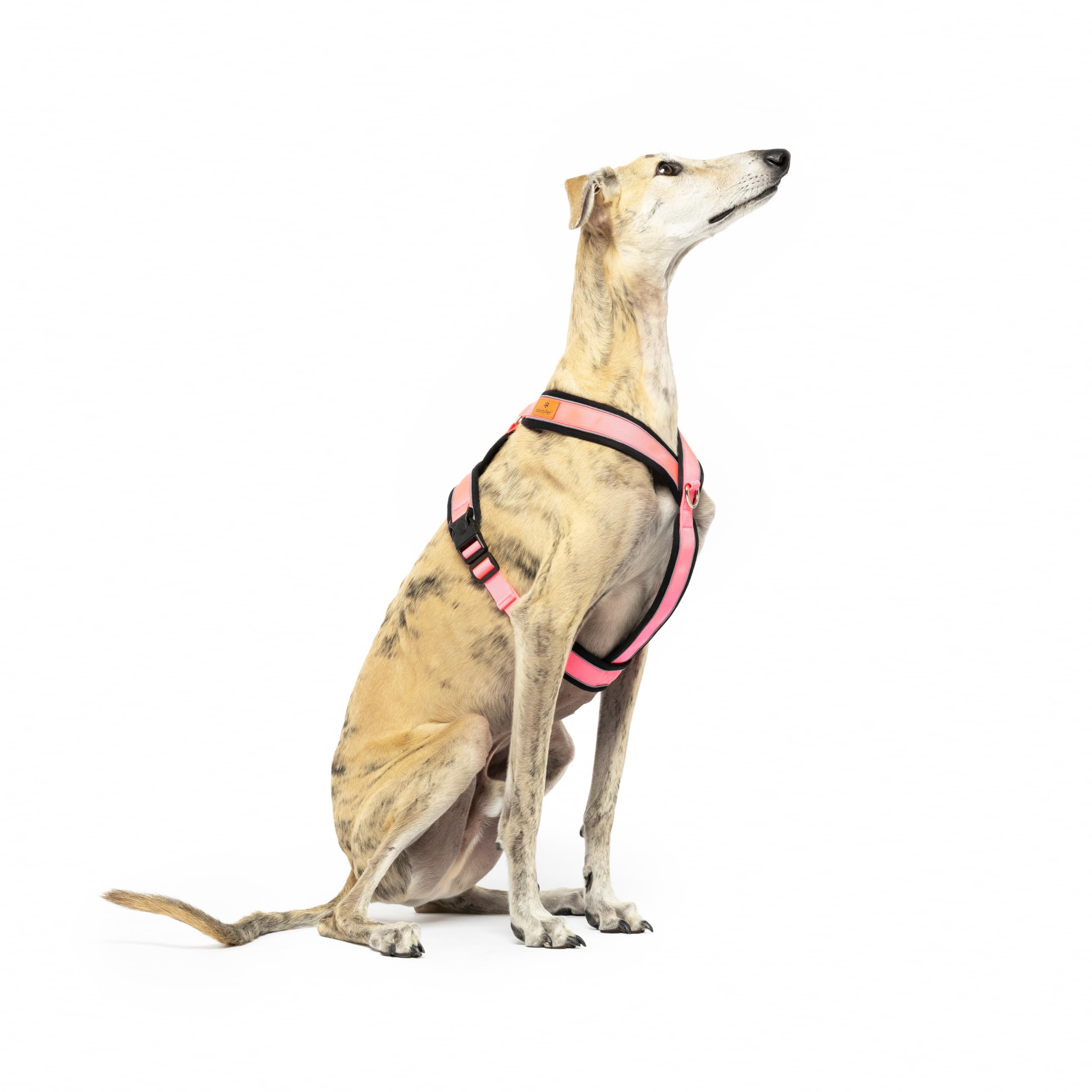 Reflecterend hondenharnas in Y-vorm, ideaal voor Lebreles: Italiaanse windhond, Whippet, windhond, Podenco - veilig, ademend en duurzaam, perfect voor wandelen, training en hardlopen, hemelsblauw