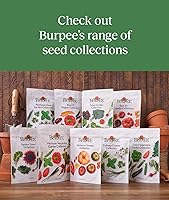 Vista 7 de Burpee Culinary Classics Garden Collection - 10 paquetes de cebollino sin OGM, cilantro, albahaca, salvia, tomillo, eneldo, perejil, manzanilla