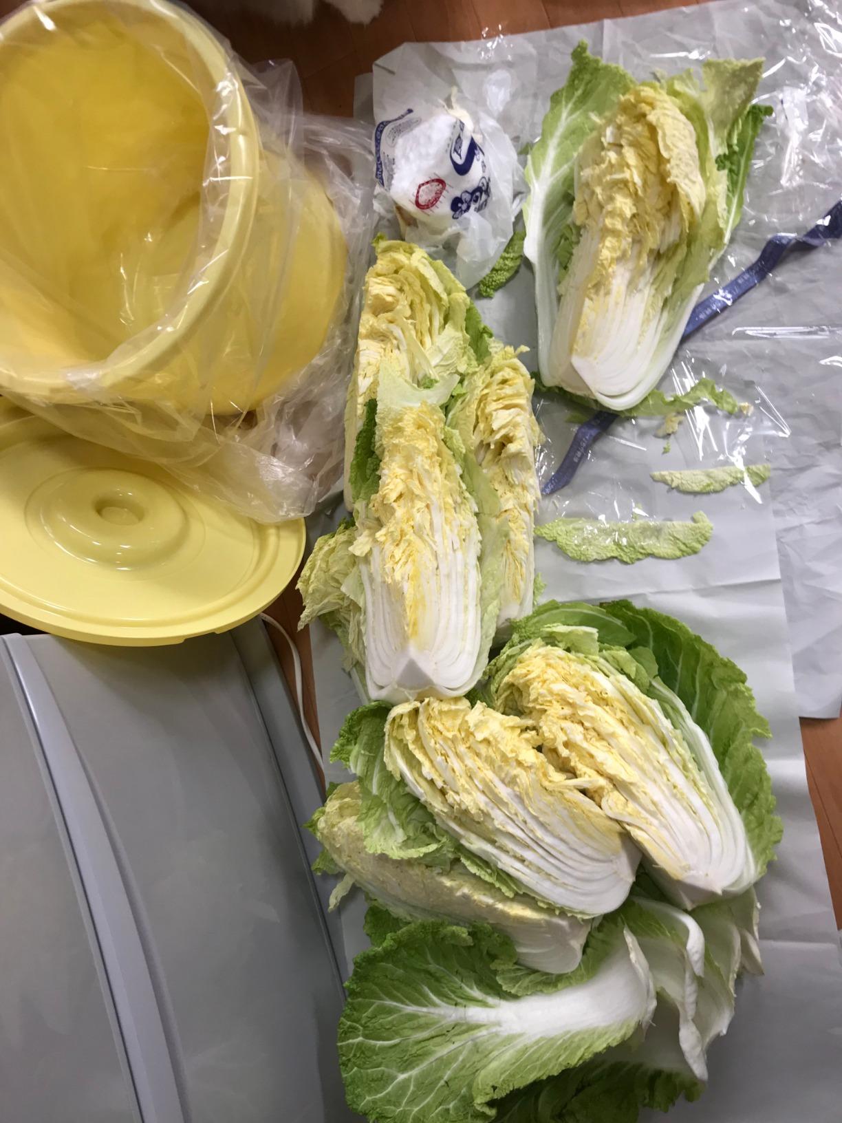 お客様イメージ