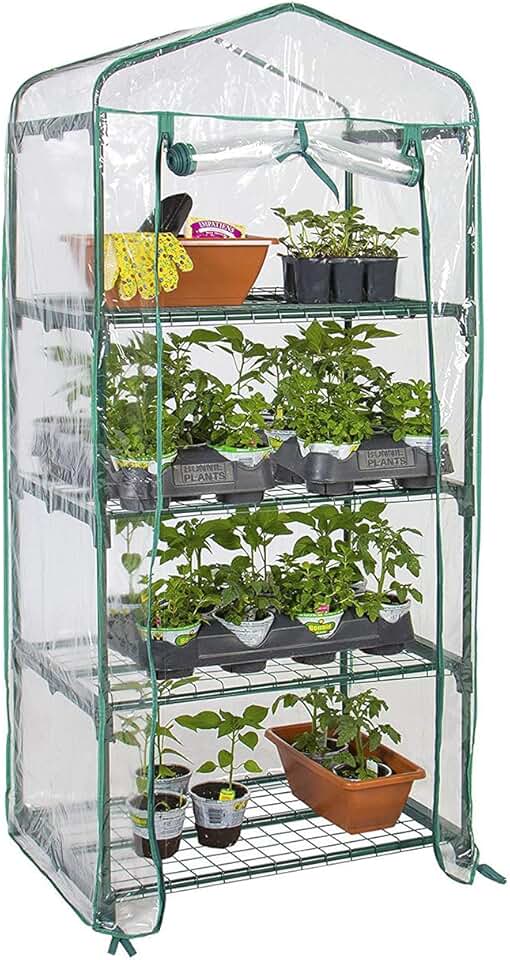 Amazon.ca Greenhouses Garden Structures & Germination Equipment