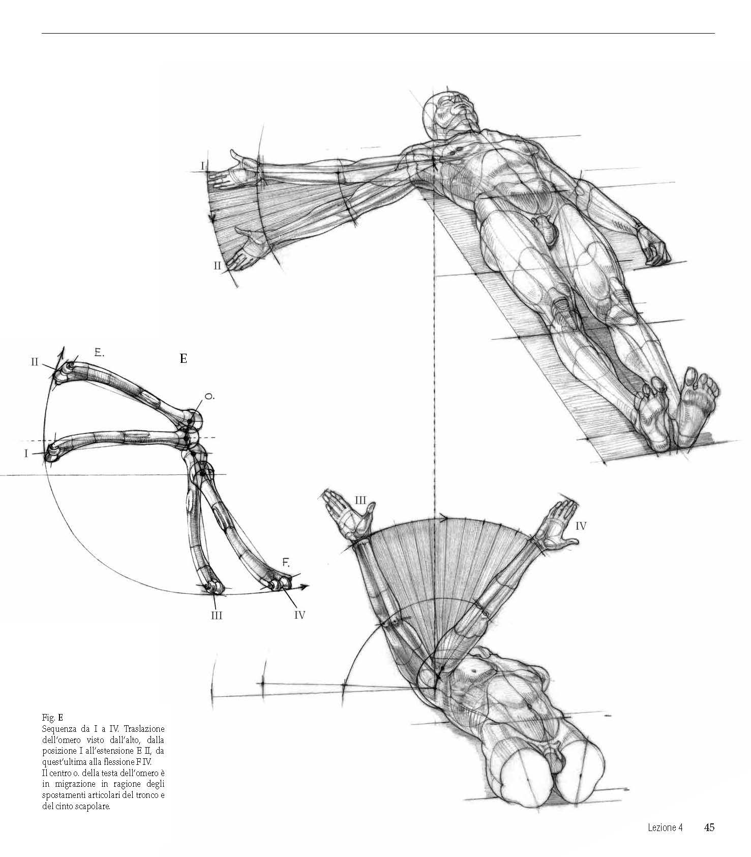Struttura uomo in movimento. Manuale di anatomia artistica