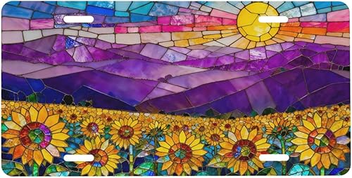 Placa de matrícula frontal de girasol para mujer, placas decorativas de aluminio de metal, bonita cubierta de matrícula para hombres, 6 x 12