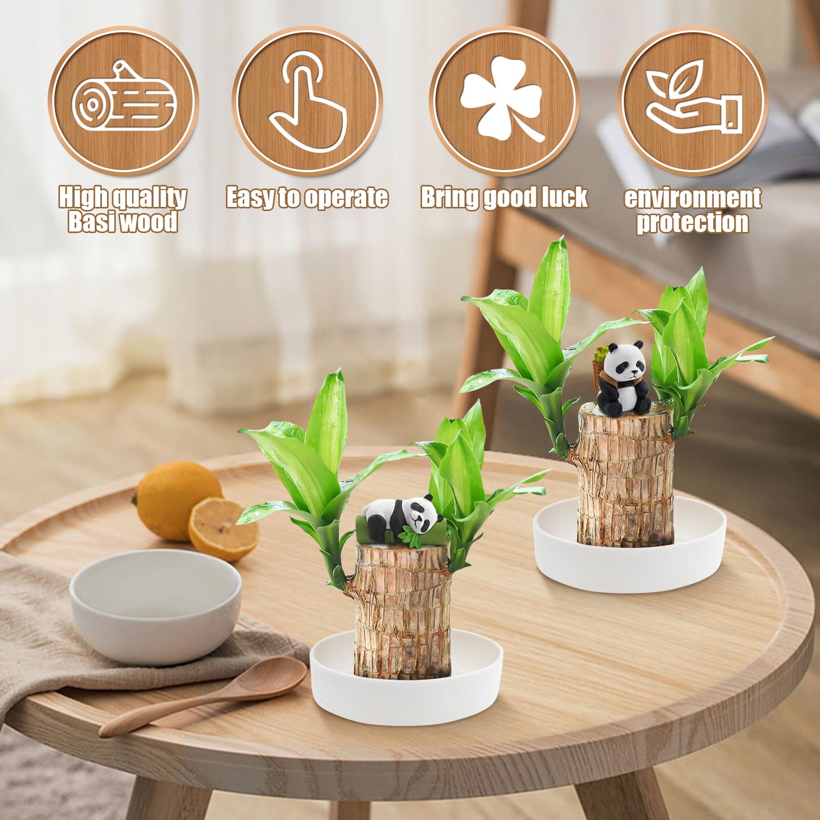 Lot de 2 Plantes en Bois Porte-bonheur Brésilien,Bois Porte-bonheur du Brésil,Ensemble de Plantes en Bois Porte-bonheur du Brésil avec Pot et 2 Ornements de Panda,Souche de Plante Hydroponique en Pot