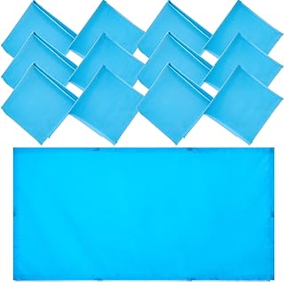 Hortsun 12 Pcs Fluorescent Light Covers 2 x 4 ft Classroom Ceiling Light Cover Magnetic Filters Fluorescent Diffuser Covering for Classroom Office Hospital Drop Ceiling(Blue)