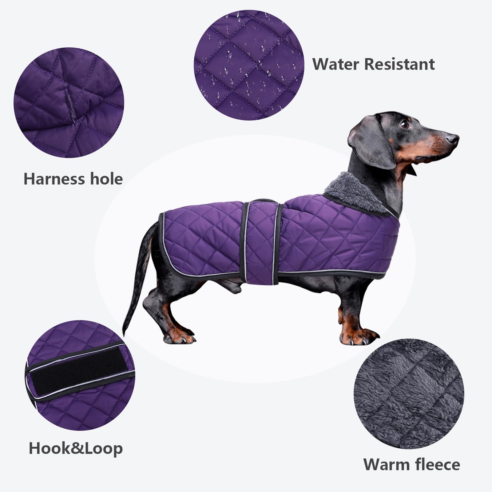 Morezi Dachshund coat dog coats for dachshunds dachshund winter jacket with padded fleece outdoor dog clothes with adjustable bands - Image 4